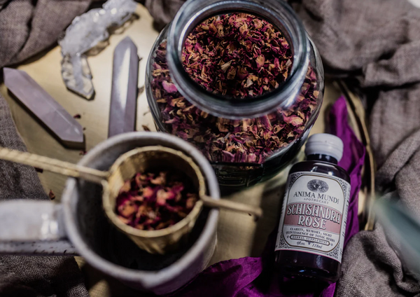 Schisandra Rose Elixir - Adaptogenic Superberry