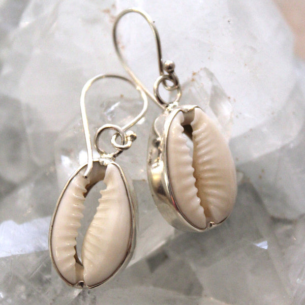 925 Sterling Silver Cowrie Shell Earrings