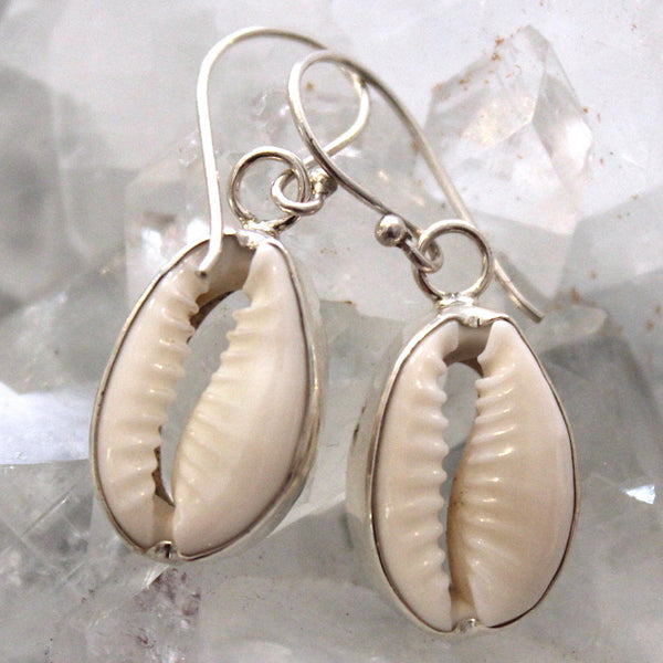 925 Sterling Silver Cowrie Shell Earrings