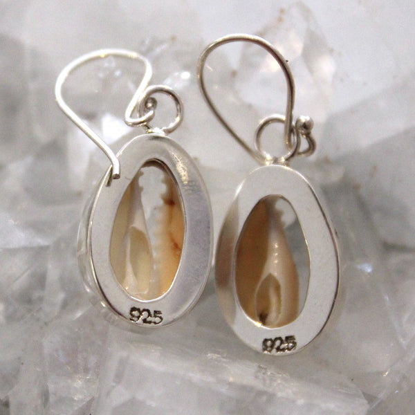925 Sterling Silver Cowrie Shell Earrings
