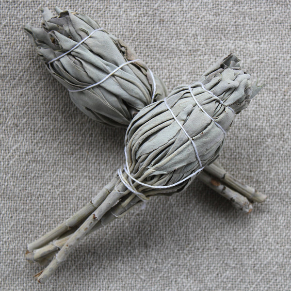 White Sage Smudge Stick