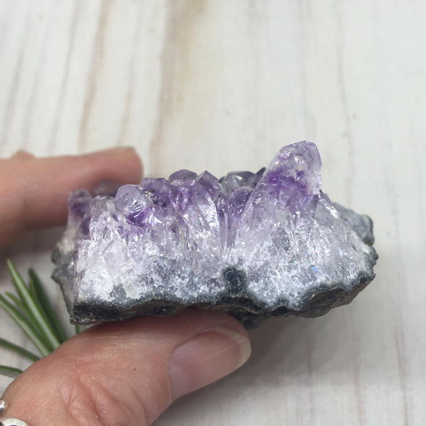 Uruguayan Amethyst Cluster