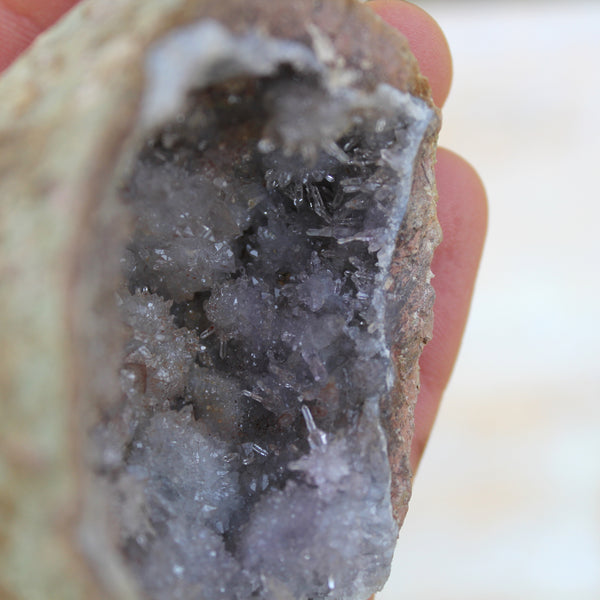 Mini Chihuahua Amethyst Cave