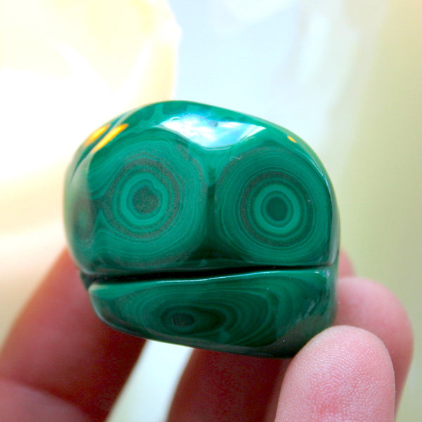 Malachite Kermit The Frog