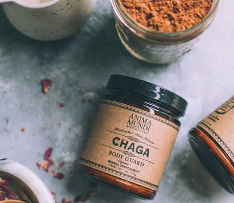 Chaga :: Body Guard