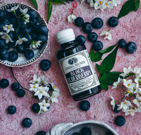 Black Elderberry Syrup :: Vegan + Organic Anti-Viral